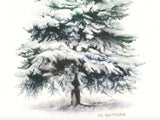 Evergreen Tree Card