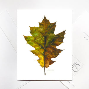 Autumn Leaf Card