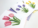 Tulip Variety Card Pack