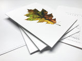 Autumn Leaf Card
