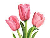 Pink Tulip Card