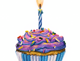 Birthday Cupcake Variety Pack