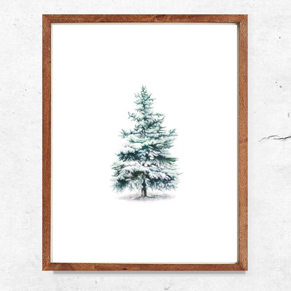 Winter Evergreen Tree Print