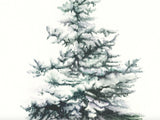 Evergreen Tree Card