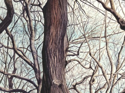 Northwestern Weber Arch